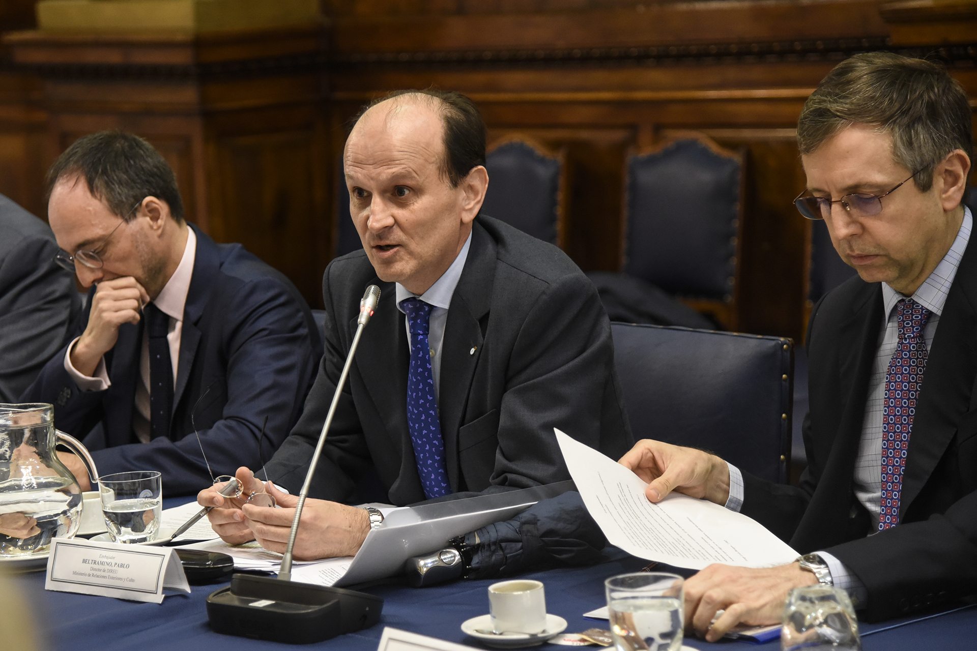Galeria de imagenes de la noticia SE CONFORMARON LOS GRUPOS DE AMISTAD CON NORUEGA, SUIZA Y CON EL GRUPO REGIONAL EFTA